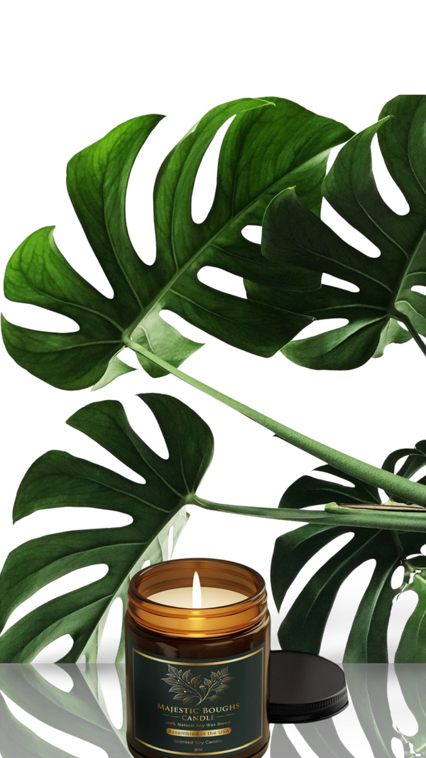 Elevate Your Space with Majestic Boughs Candle